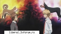 :hi:  :hi:  :hi: (i) despre comenzi la server {admin mod }